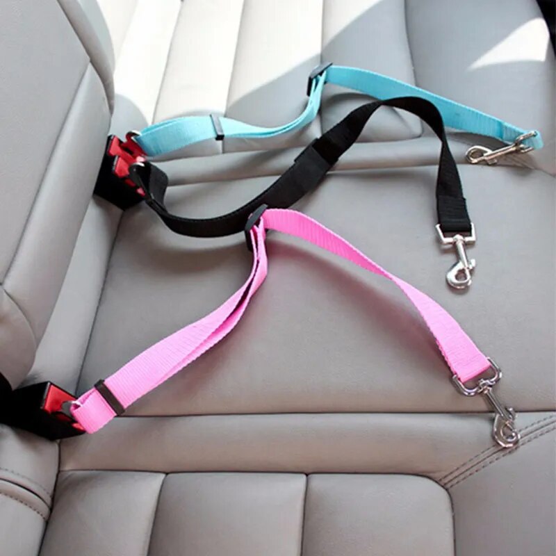 Ceinture de sécurité de voiture pour animal de compagnie