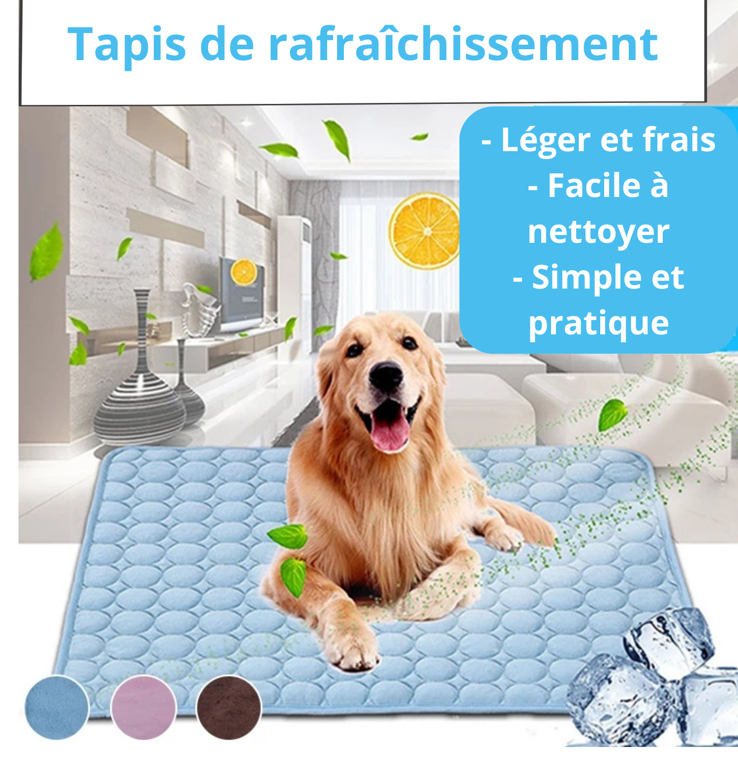 Tapis rafraîchissant pour animaux de compagnie