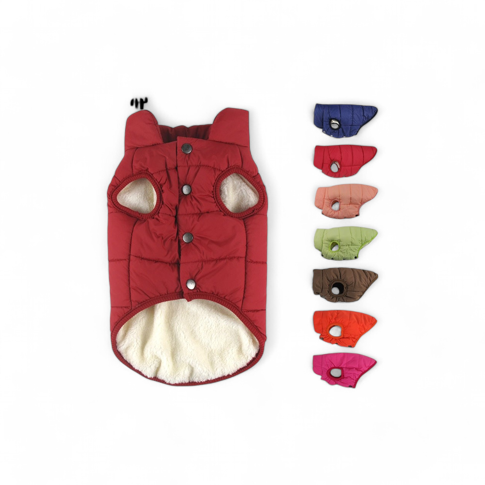 Manteau d\'hiver pour chien