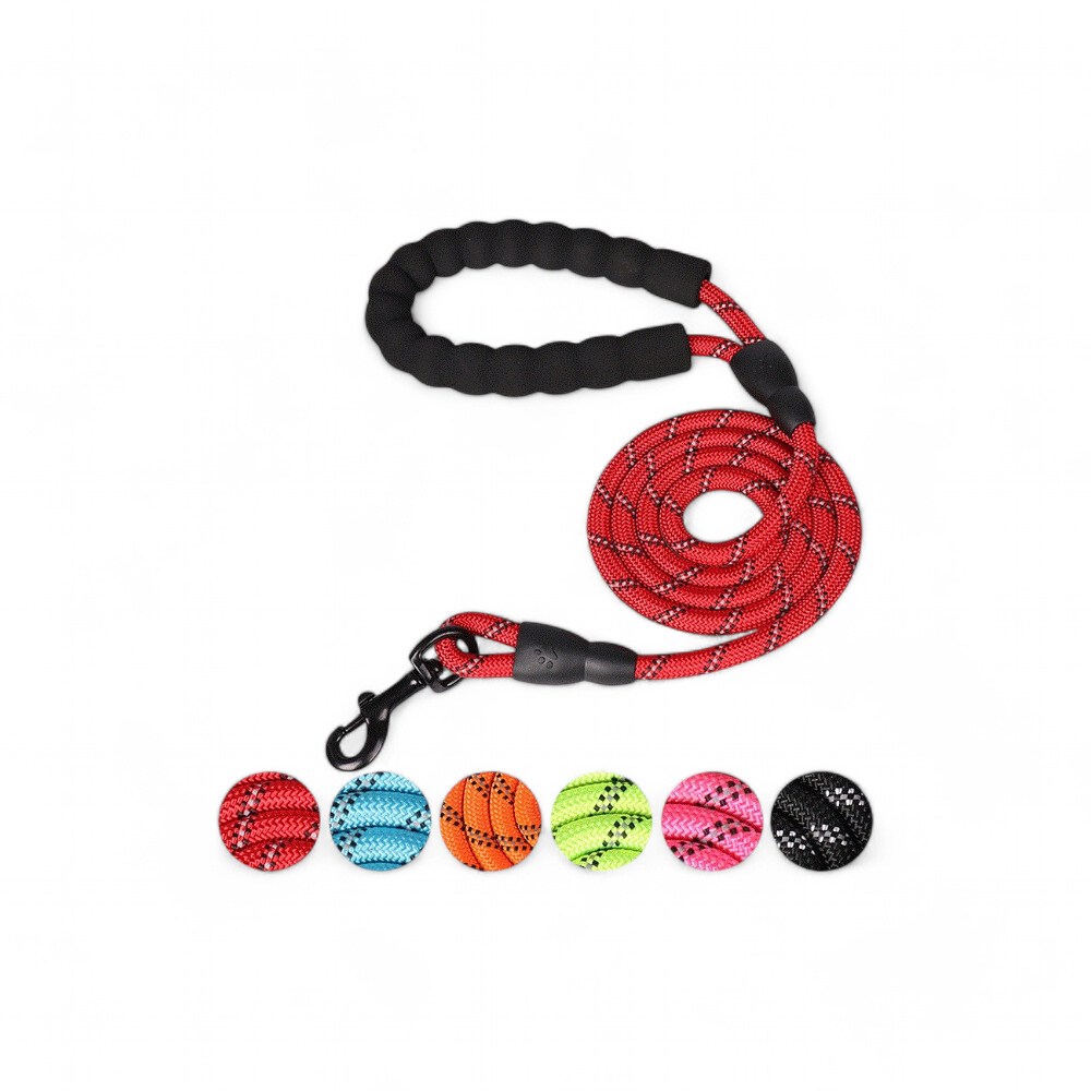 Laisse pour chien 150cm / 200cm / 300cm
