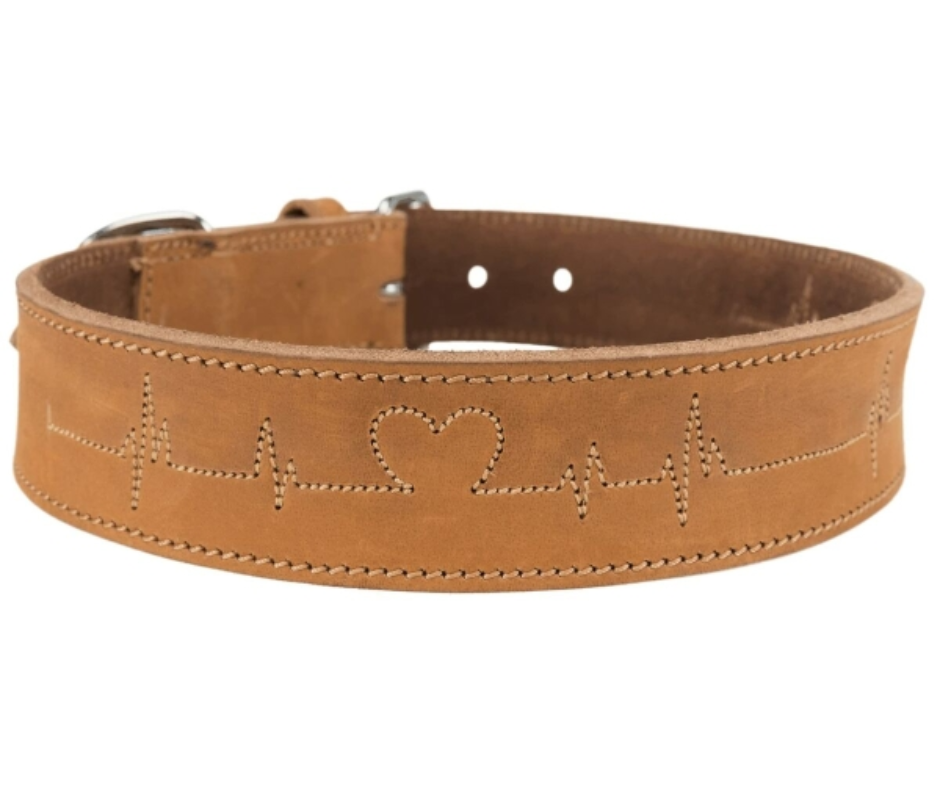 Collier pour chien en cuir