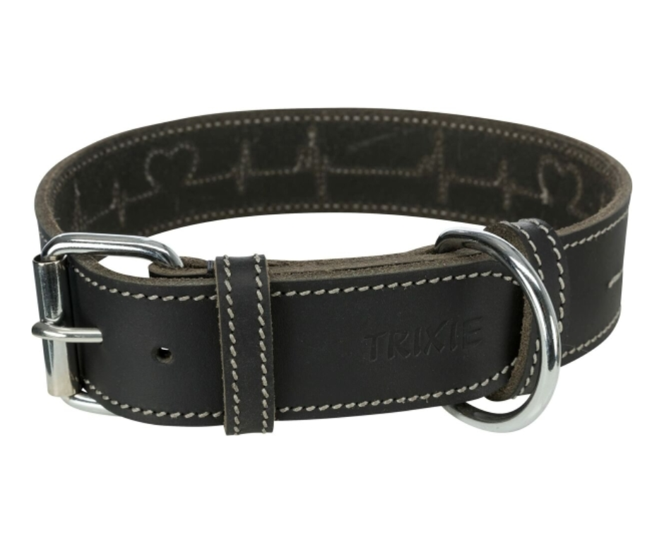 Collier pour chien en cuir
