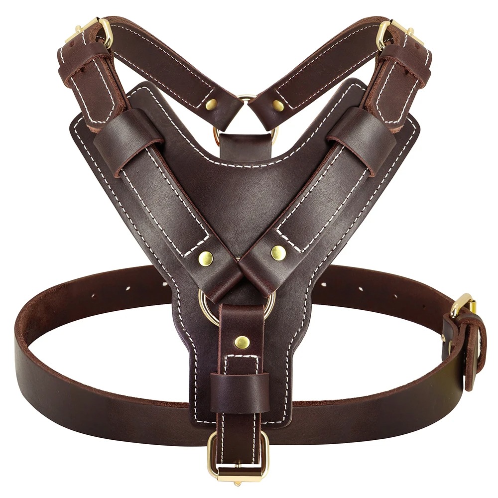 Harnais cuir véritable pour chiens moyens et grands
