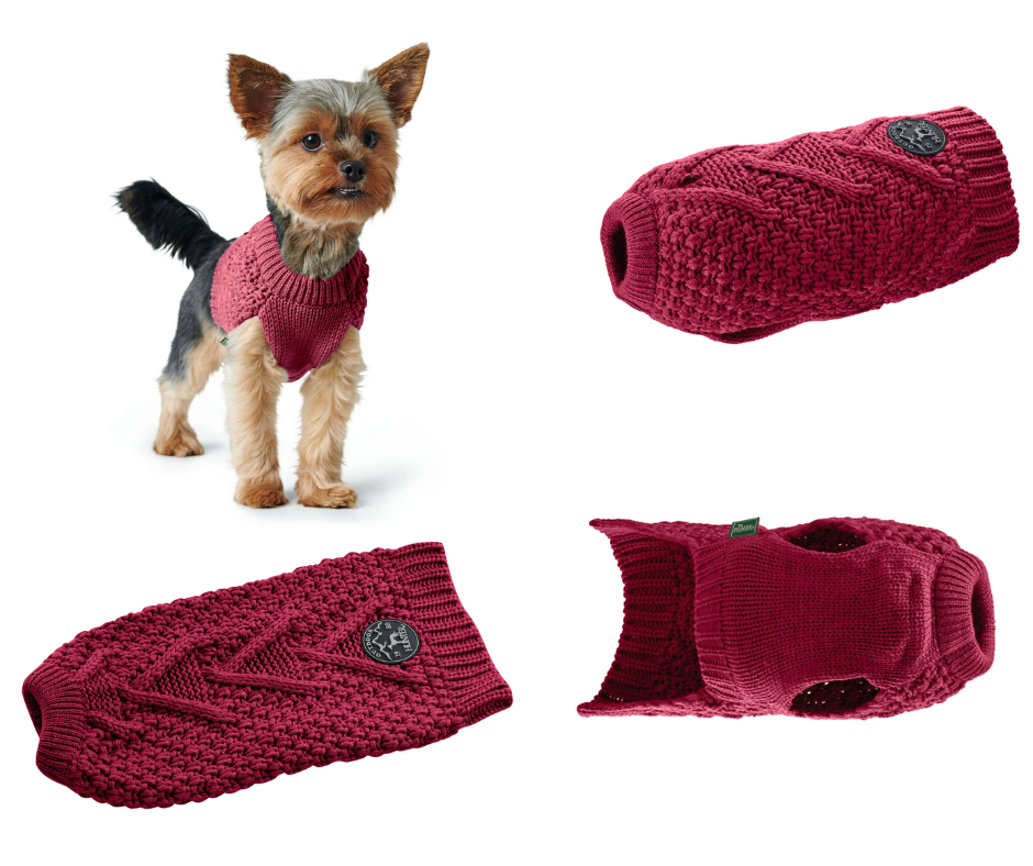 Pull over pour chien Bordeaux