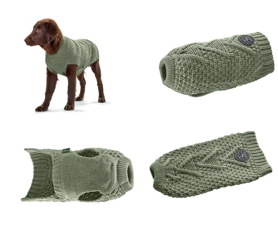 Pull over pour chien Vert
