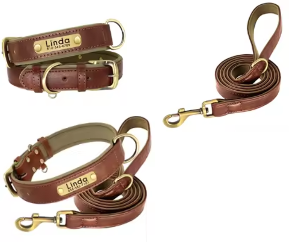 Design sans titre (7) collier laisse marron