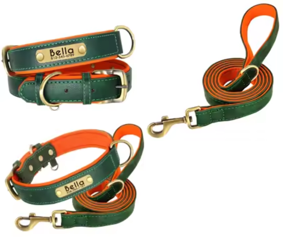 Design sans titre (1) collier - laisse de chien vert