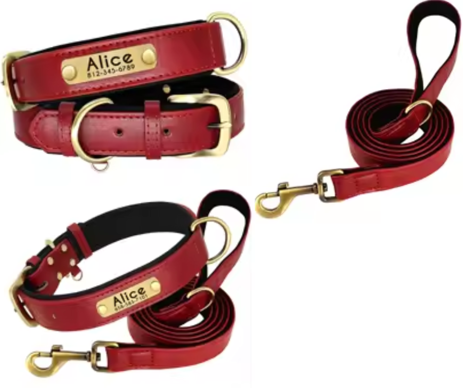 Design sans titre (2) collier laisse rouge