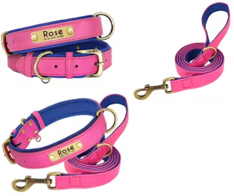Ensemble collier - laisse de chien en cuir personnalisé