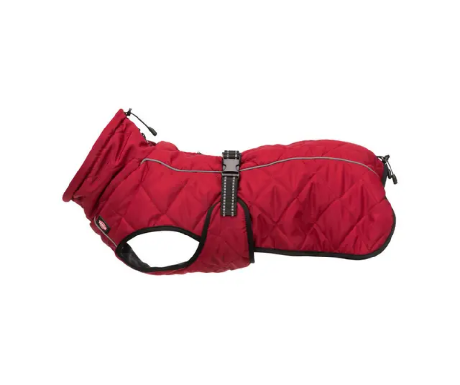 Manteau pour chien