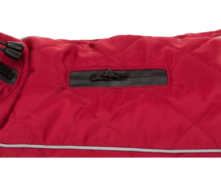 manteau pour chien