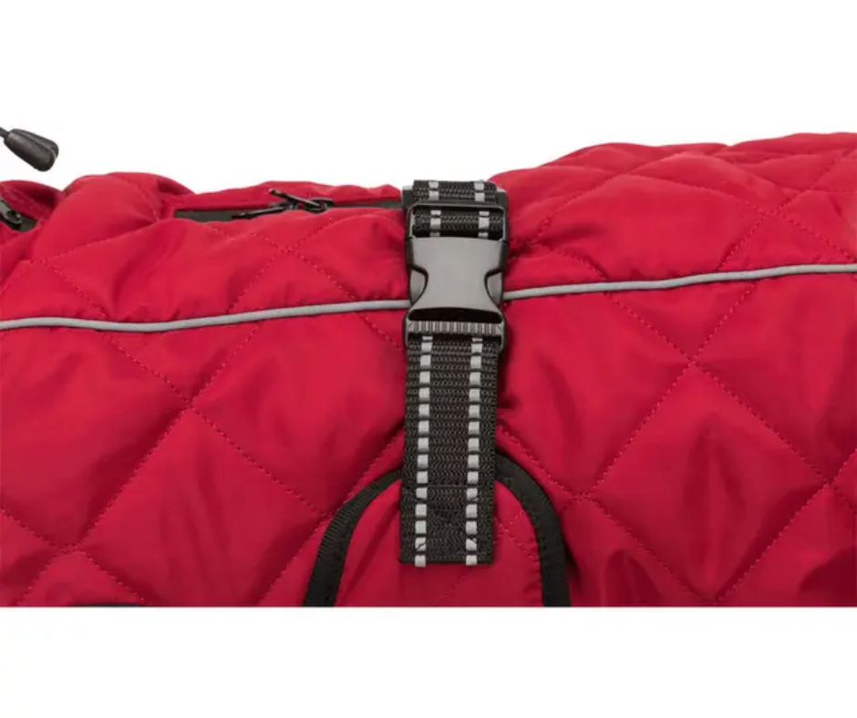 manteau pour chien 6