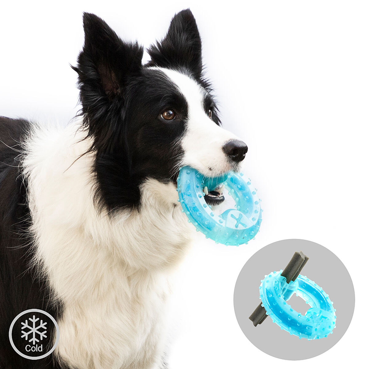 Jouet à mordre 2 en 1 congelable pour chien