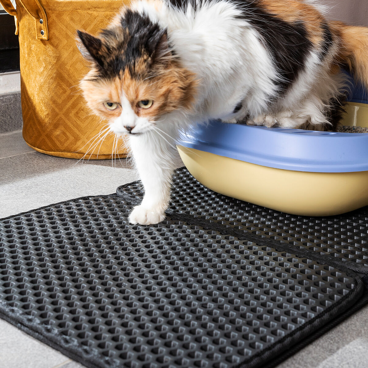 Cat Litter Tray (1)