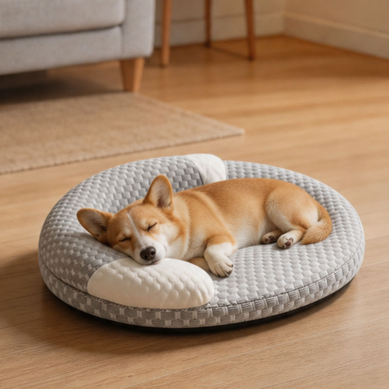 Coussin rafraîchissant pour animaux de compagnie