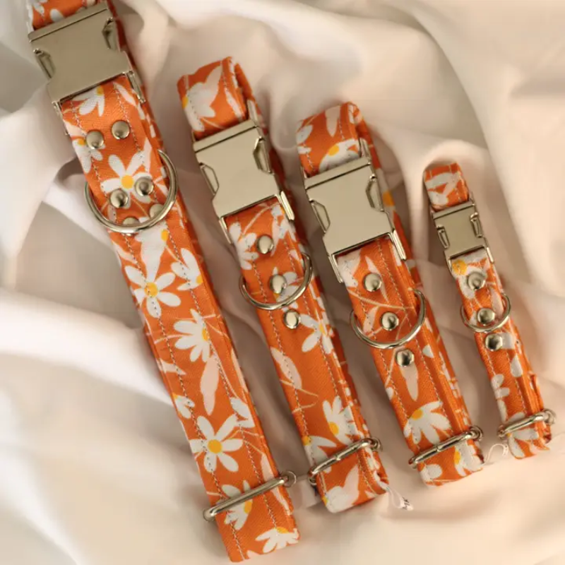 Colliers imperméables pour chien