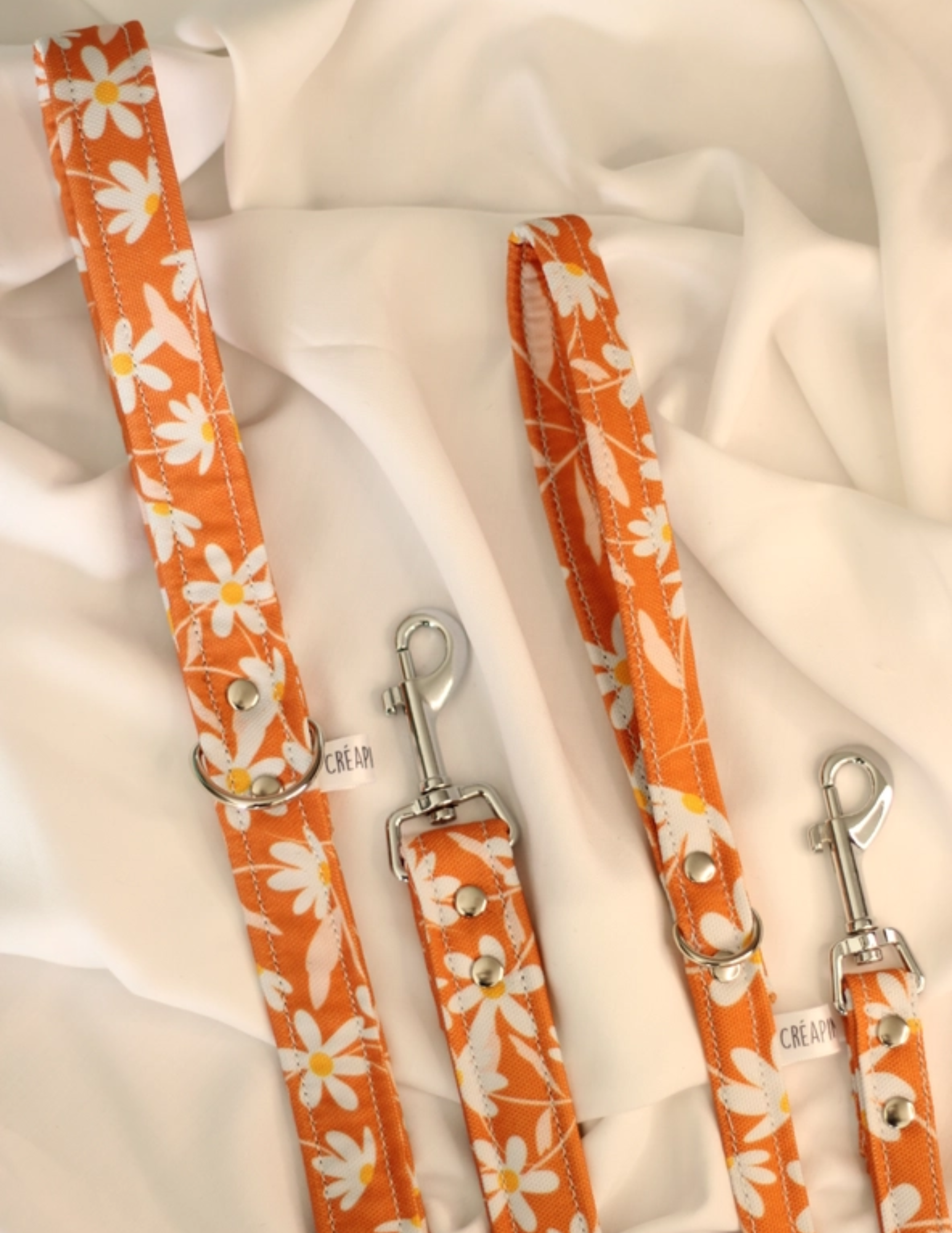 Laisses imperméables pour chien