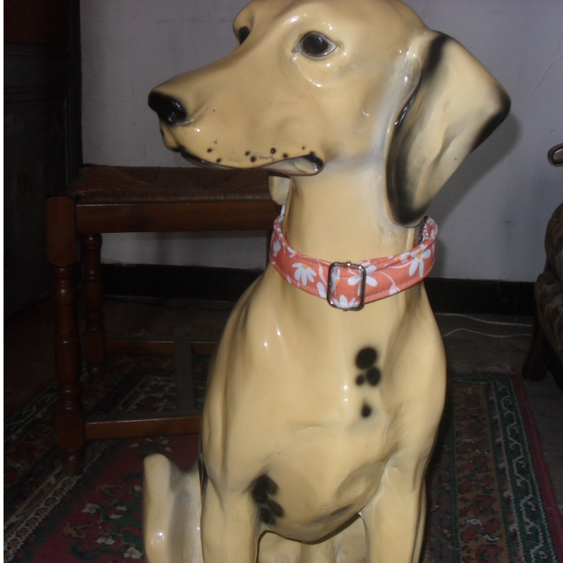 Collier pour chien petite fleur test
