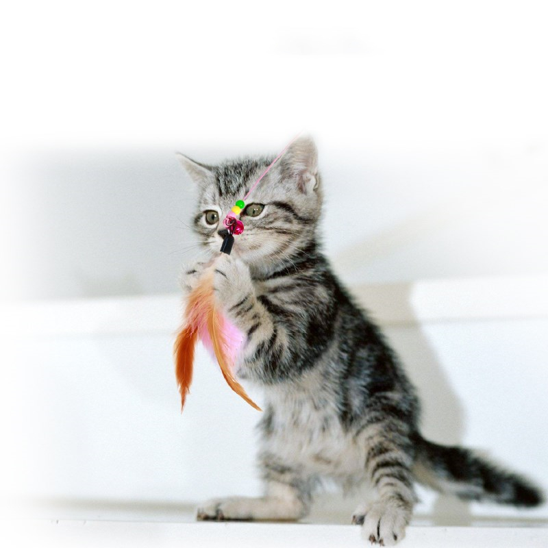Jouets