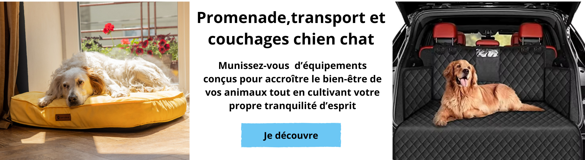 Promenade, transport et couchages chien chat