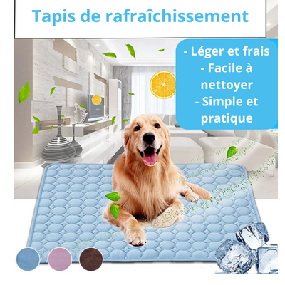 Tapis (1500 × 1580 px) (1500 x 1580 px)