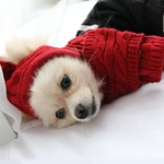 Chapeau-pour-chiens-hiver-rayures-chaudes-tricot-chapeau-charpe-collier-chiot-Teddy-Costume-v-tements-de