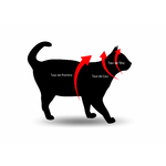 chat-guide-des-tailles-scaled