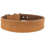 Collier pour chien en cuir