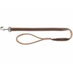 Laisse pour chien (1)