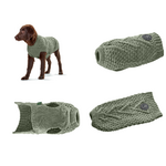 Pull over pour chien Vert