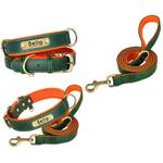 Design sans titre (1) collier - laisse de chien vert