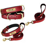 Design sans titre (2) collier laisse rouge
