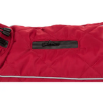 manteau pour chien