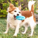 jouet-a-mordre-2-en-1-congelable-pour-animaux-de-compagnie-glubiz-innovagoods_507382 (3)