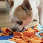 tapis-olfactif-pour-animaux-de-compagnie-fooland-innovagoods_388242 (2)