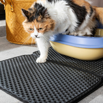 Cat Litter Tray (1)