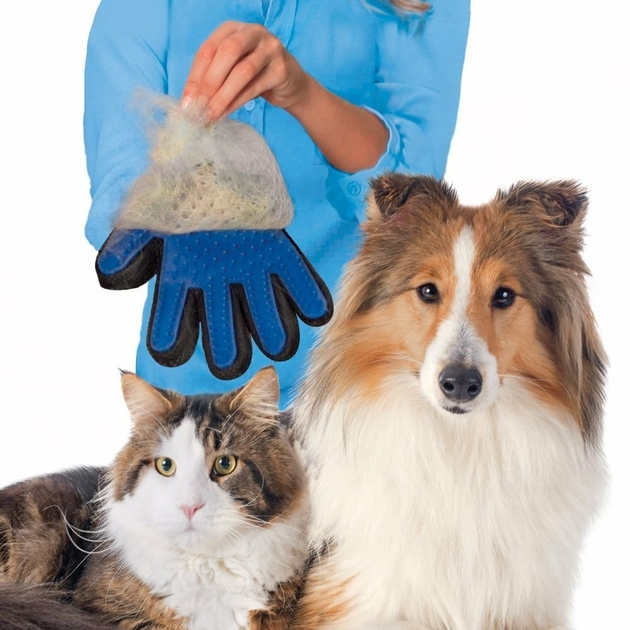 Gants de toilettage pour animaux de compagnie Confort