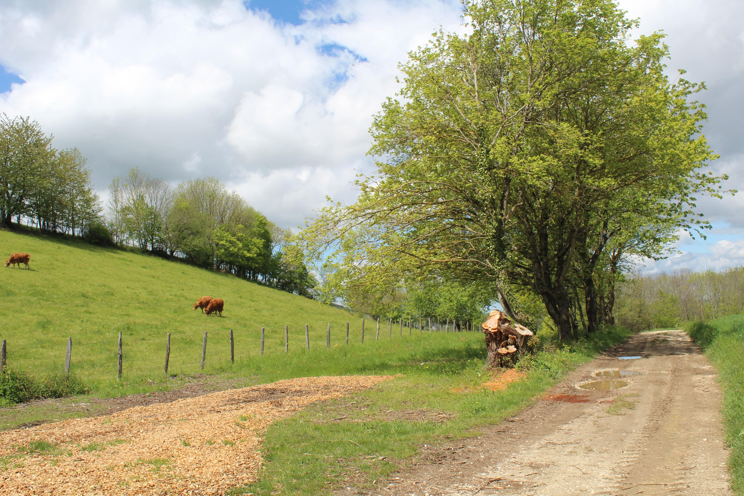 fond chemin min