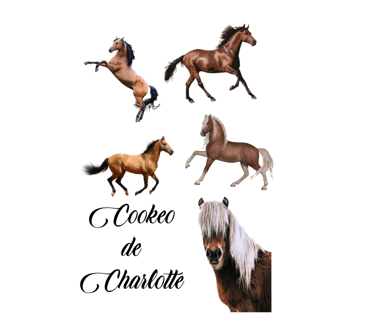 Visuel de la référence AUT0033