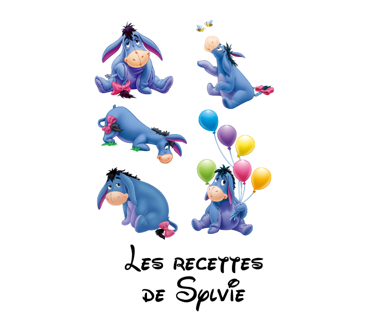 Visuel de la référence AUT0052