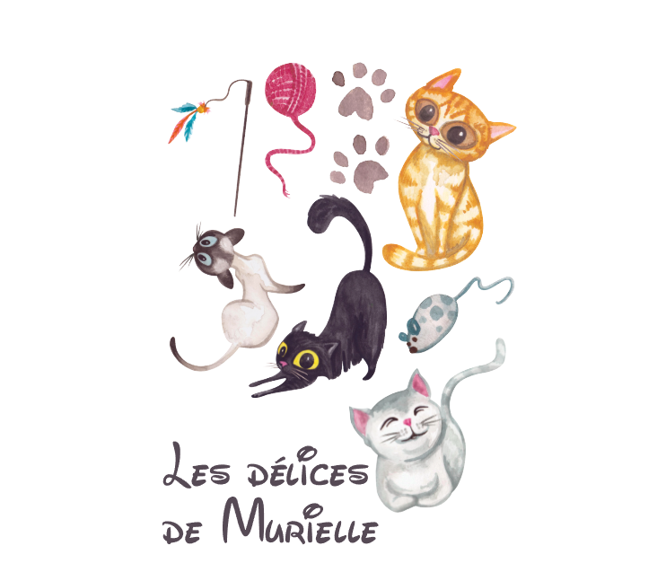 Visuel de la référence AUT0091