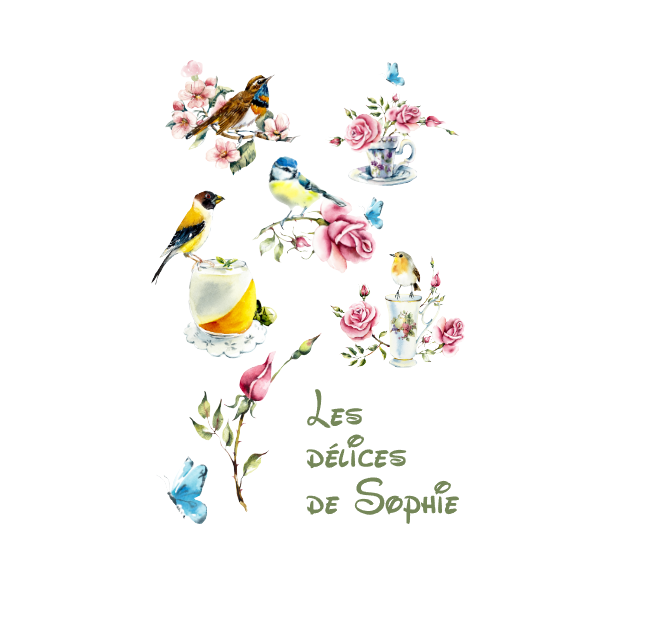 Visuel de la référence AUT0058