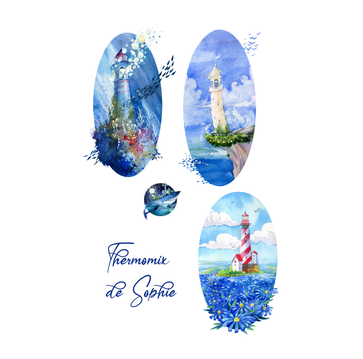 Visuel de la référence AUT0096