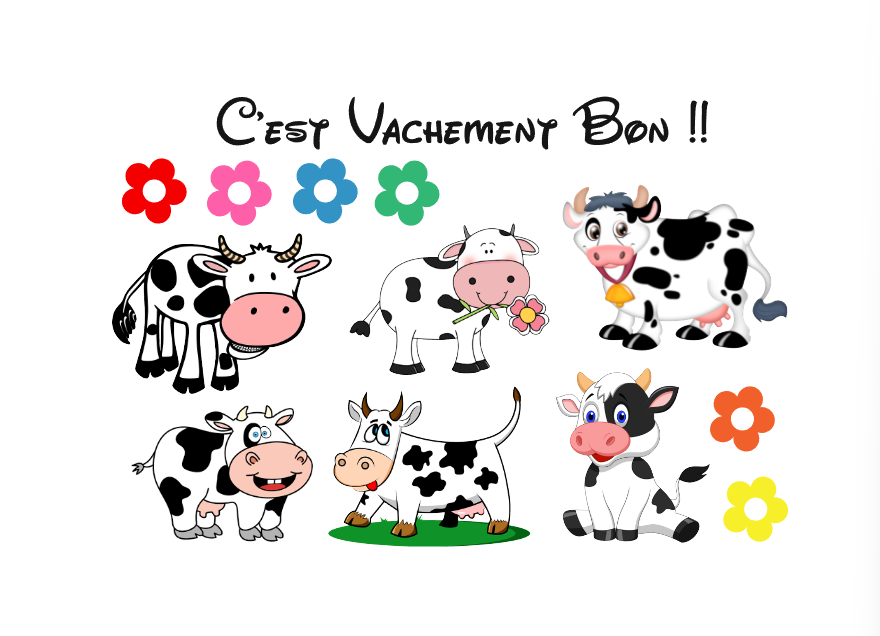 Visuel de la référence AUT0005