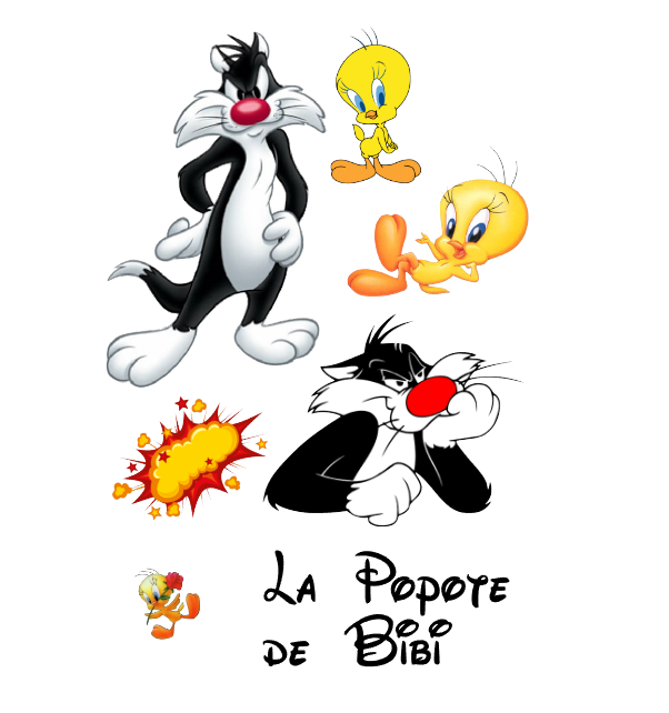 Visuel de la référence AUT0040