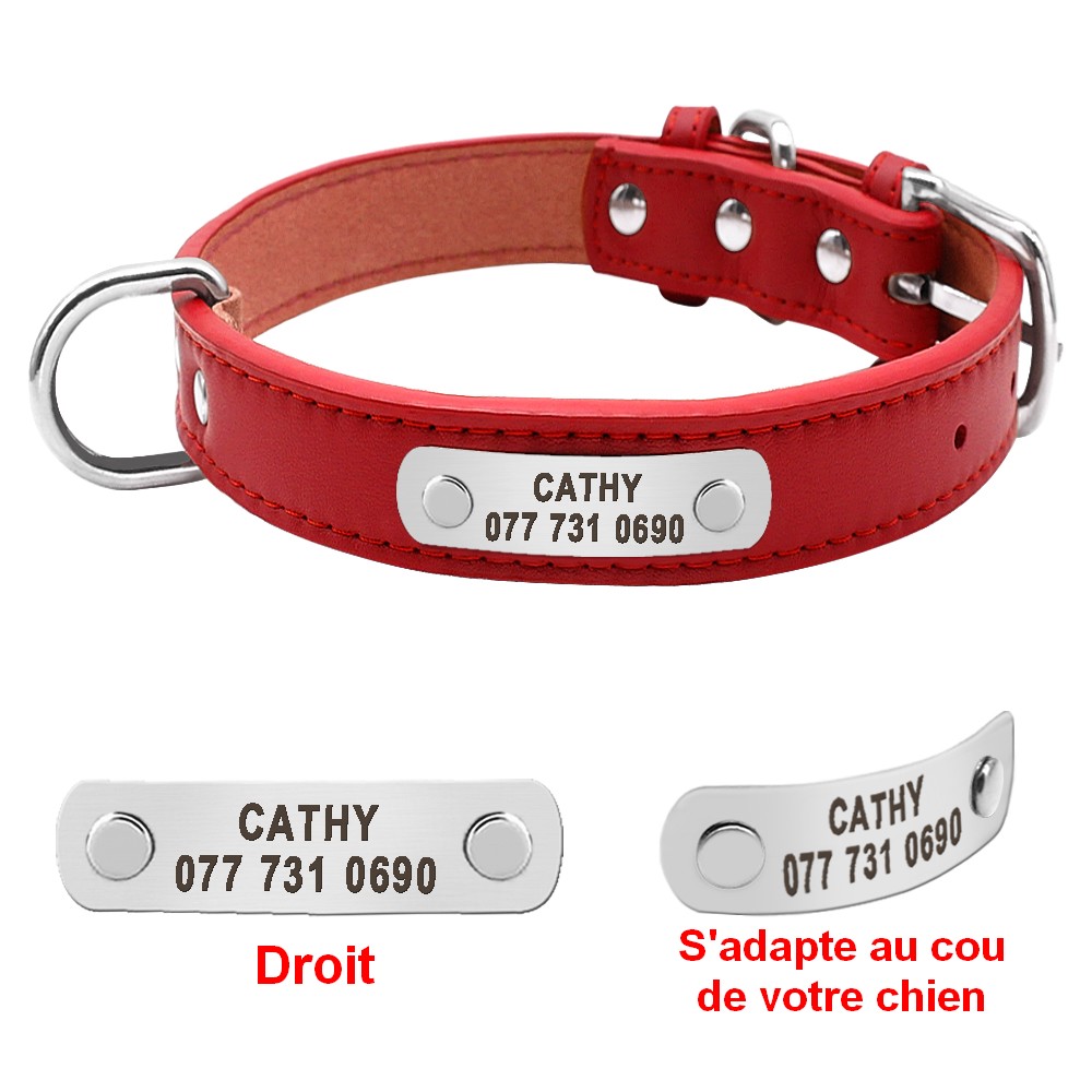 Collier Pour Chat Personnalisé Collier Pour Chat À - Temu France