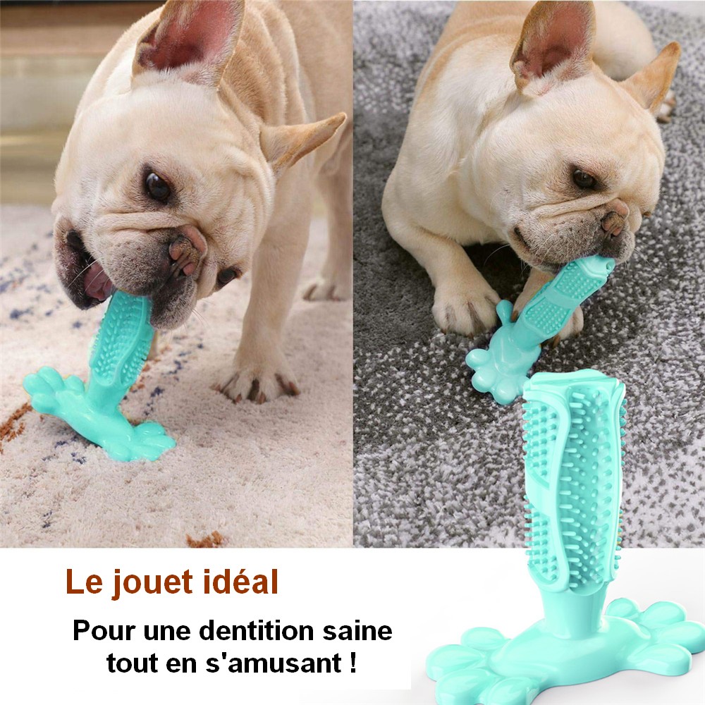 Jouets-pour-chiens-chien-a-macher-hygiene-dentaire-dentition-os-etoile-saucisse-baton-batonnet-mordre-mordiller-brosse-dent-dents