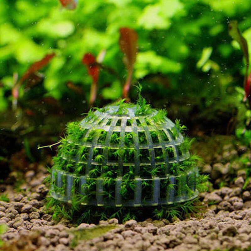 Dome-mousse-aquarium-Accessoires-aquarium-Decoration-aquarium