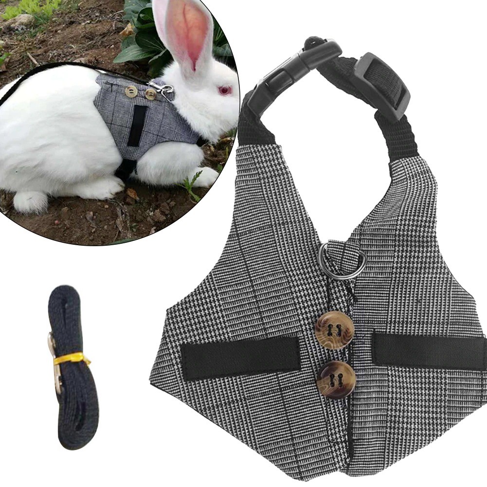 Vêtement pour lapin - Habit pour lapin - Harnais pour lapin- Mon lapin Nain