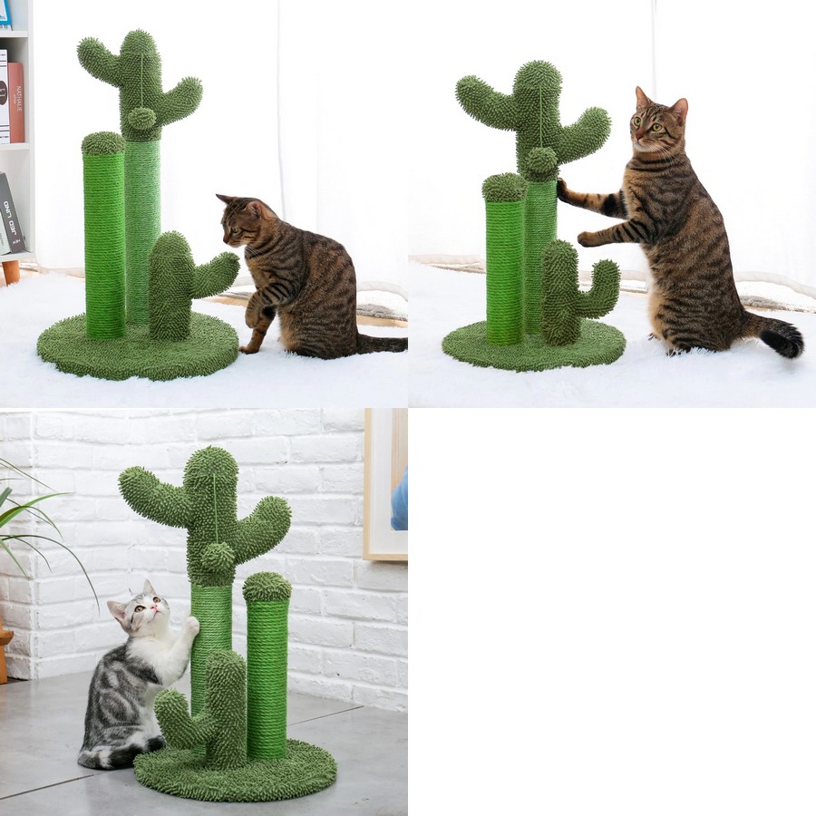 Griffoir-cactus-chat-Meilleur-griffoir-chat-Griffoir-original